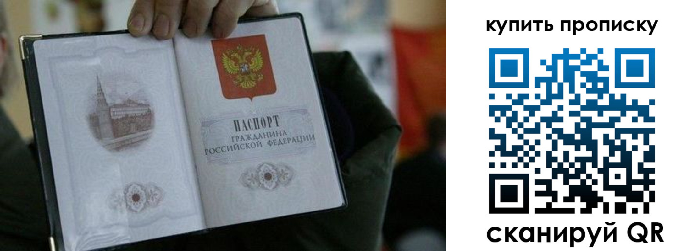 временная регистрация для всех в Балтийске